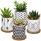 Pots and Planters