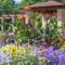 Outdoor Plants