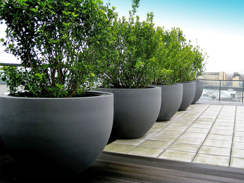 pot and planter