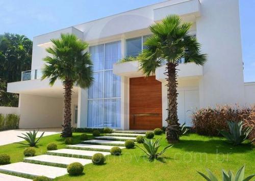 Washingtonia Robusta Palm in the UAE